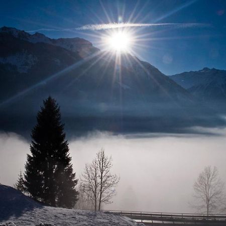 Ferienwohnung Steiner Wald im Pinzgau Dış mekan fotoğraf
