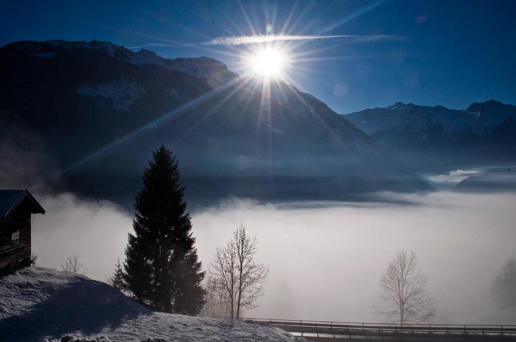 Ferienwohnung Steiner Wald im Pinzgau Dış mekan fotoğraf